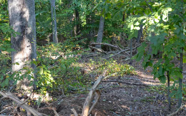 $399,900 | 0 Chandler Road, Greer, SC 29651