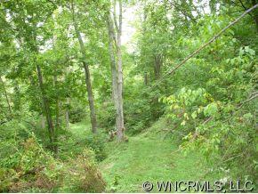 4 Glades Road Clyde, NC 28721 - Photo 2 of 12 a view of a lush green forest