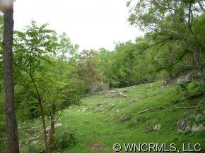 4 Glades Road Clyde, NC 28721 - Photo 10 of 12 a view of a lush green space