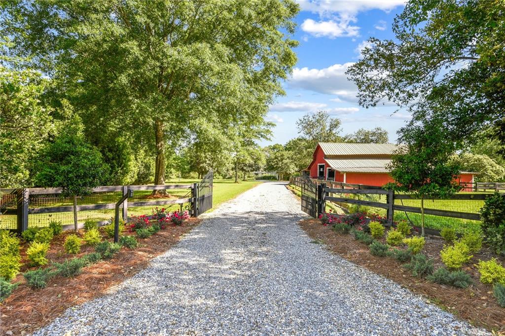 19201 Kenzie Road Covington, LA 70435 - Photo 4 of 60