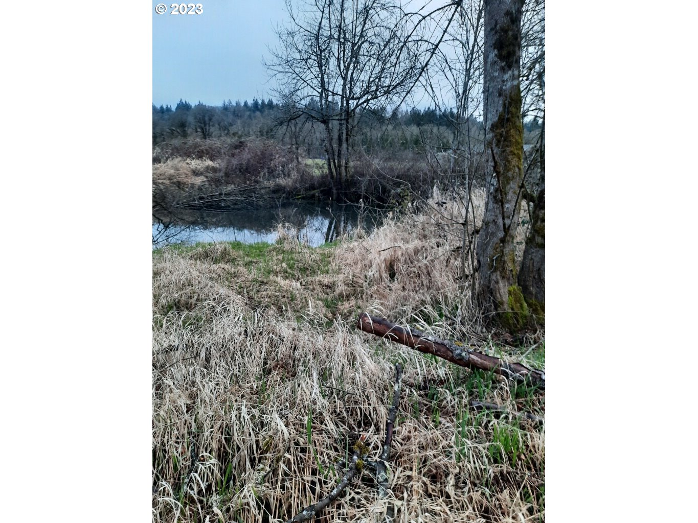 15411 South Union Mills Road Mulino, OR 97042 - Photo 19 of 20 Gallery Image 19
