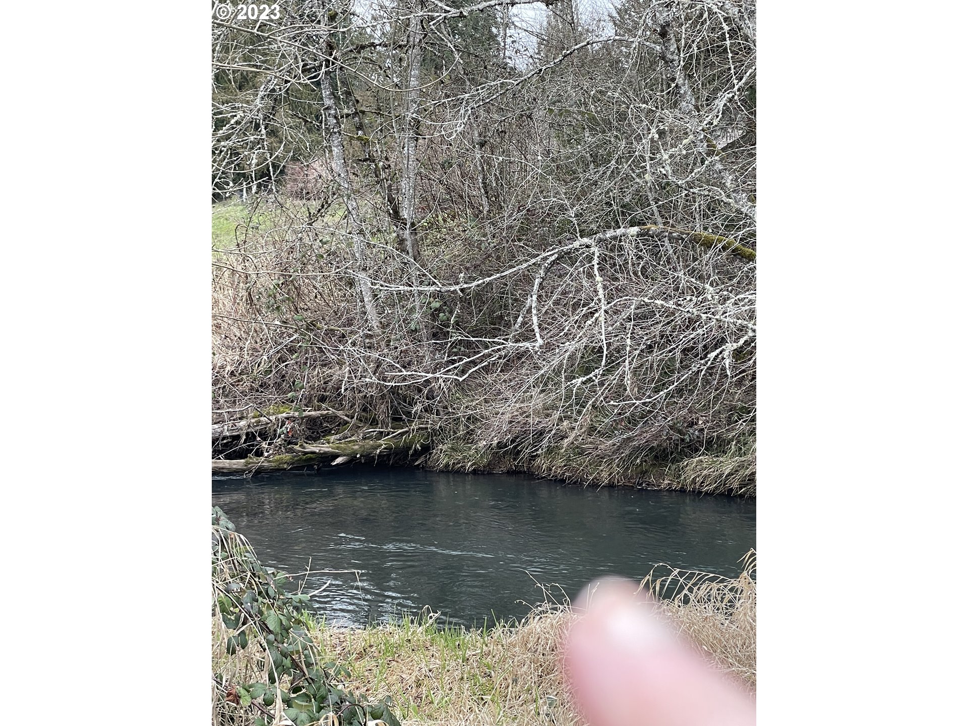 15411 South Union Mills Road Mulino, OR 97042 - Photo 3 of 20 Creek