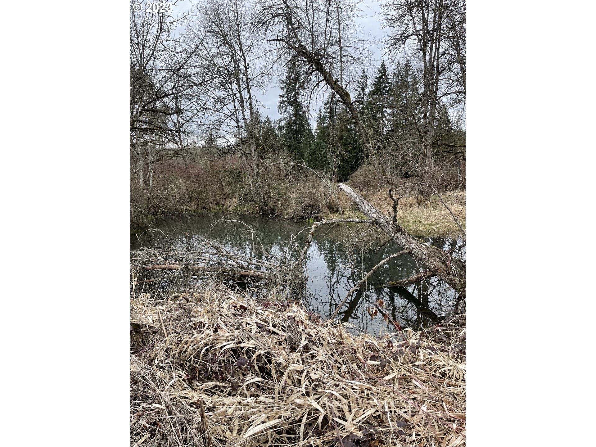 15411 South Union Mills Road Mulino, OR 97042 - Photo 4 of 20 Pond