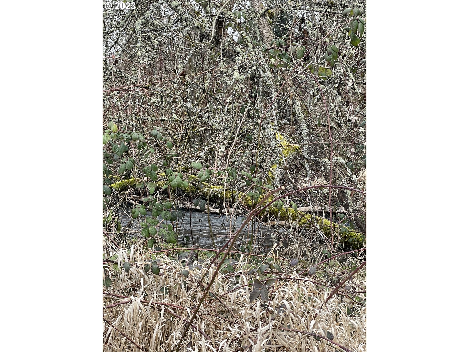 15411 South Union Mills Road Mulino, OR 97042 - Photo 5 of 20 Pond