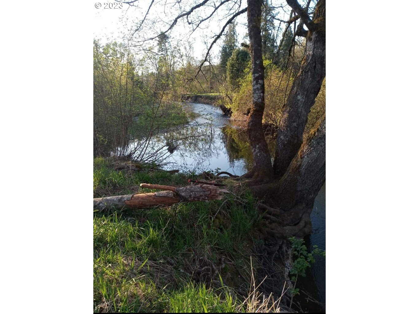 15411 South Union Mills Road Mulino, OR 97042 - Photo 9 of 20 Creek