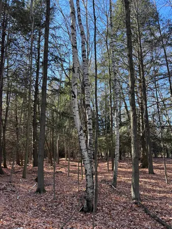 $125,000 | 5.25 Lane Menominee Mi 49858, Menominee, MI 49858