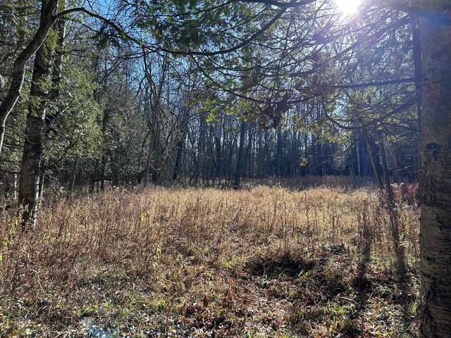 $125,000 | 5.25 Lane Menominee Mi 49858, Menominee, MI 49858