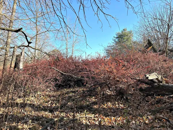 $125,000 | 5.25 Lane Menominee Mi 49858, Menominee, MI 49858