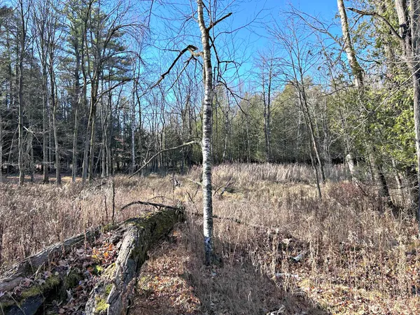 $125,000 | 5.25 Lane Menominee Mi 49858, Menominee, MI 49858