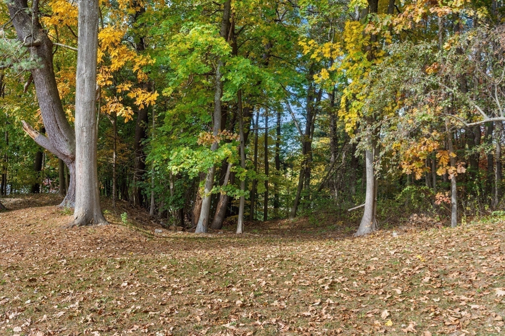 11 Bald Rock Road Wayland, MA 01778 - Photo 17 of 20 Gallery Image 17