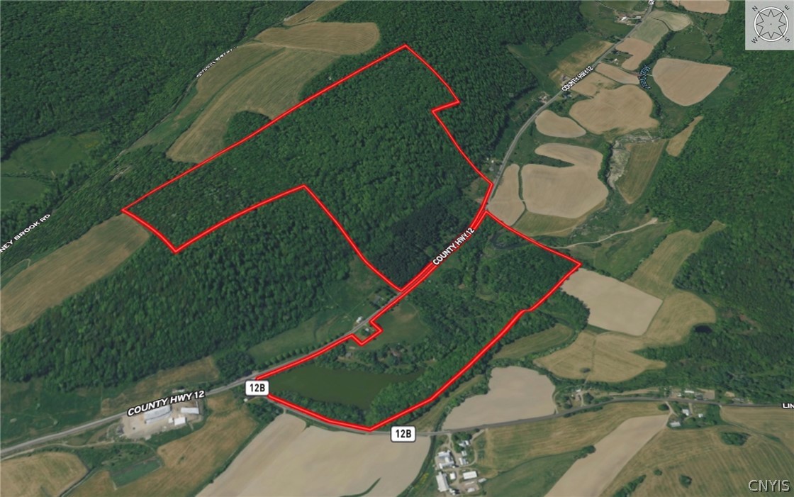 1720 County Route 12 De Ruyter, NY 13052 - Photo 10 of 49