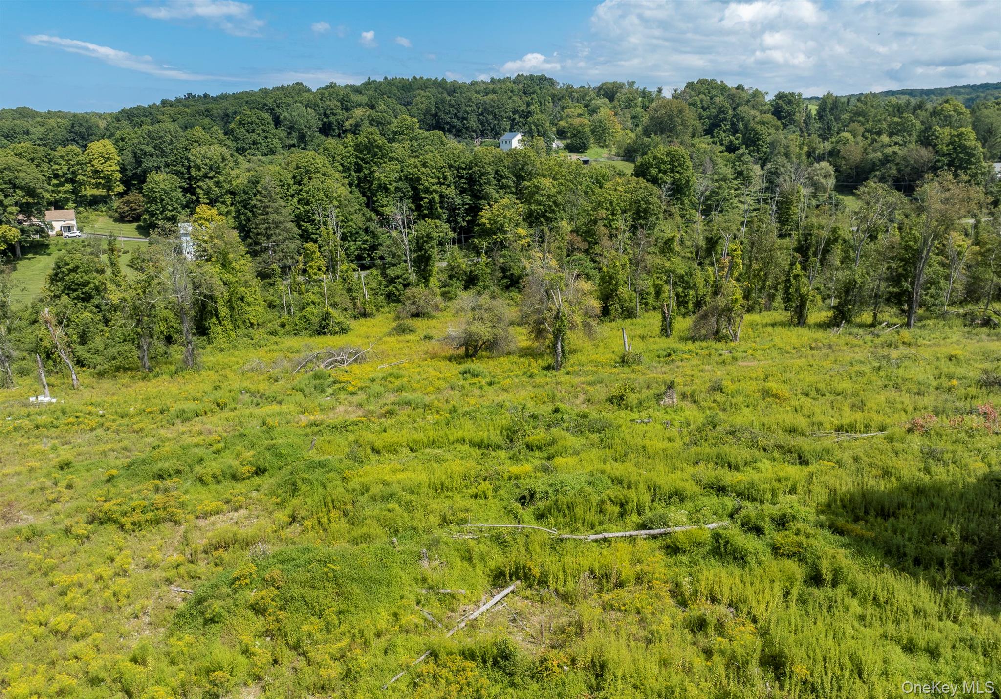Camby Road Millbrook, NY 12545 - Photo 18 of 30 Gallery Image 18