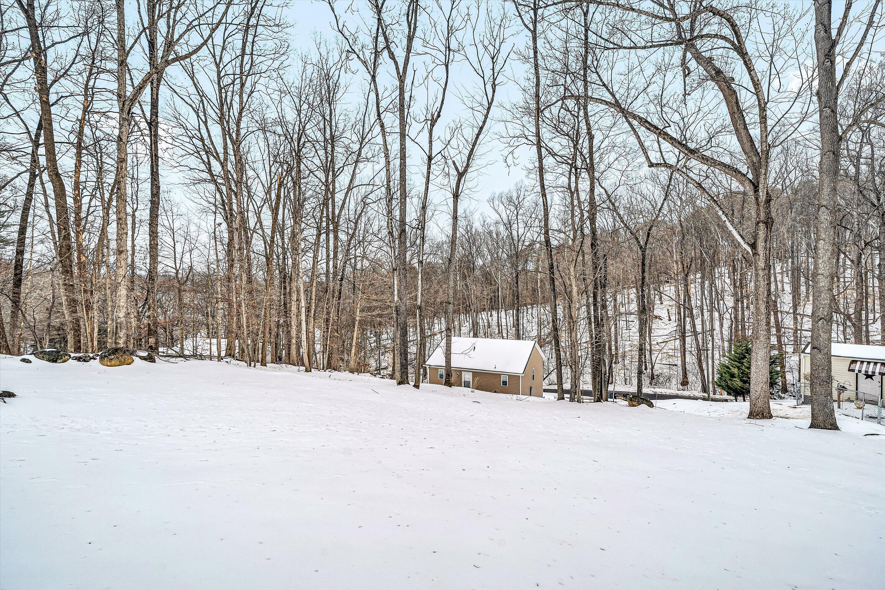 2111 Woodland Road Southeast Roanoke, VA 24014 - Photo 28 of 31 a view of outdoor space with trees