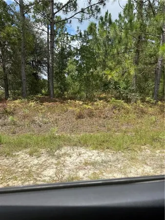 $20,000 | 0 Heritage Circle, Unit 64, Hortense, GA 31543