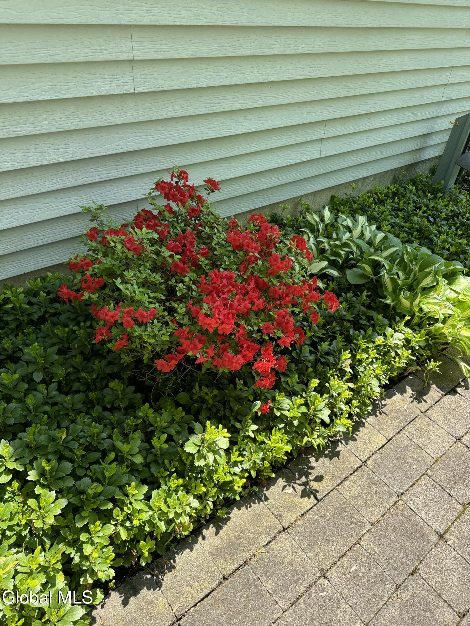 214 Benjamin Street Guilderland, NY 12303 - Photo 68 of 76 IMG_6320