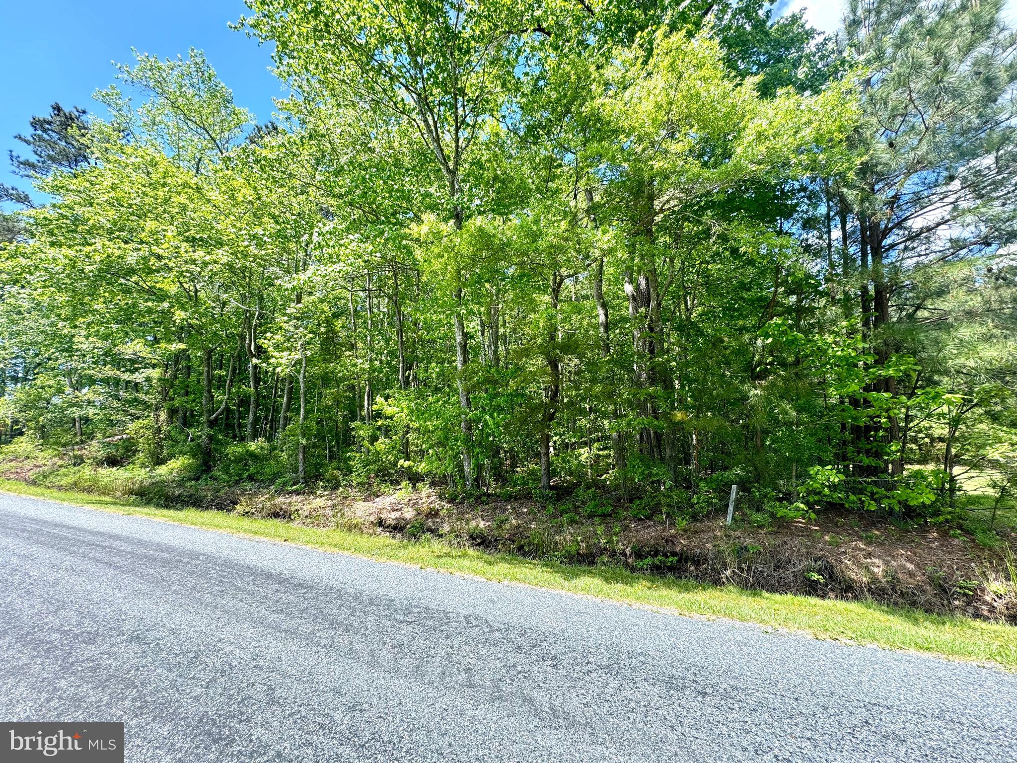 0 Anderson Road Princess Anne, MD 21853 - Photo 12 of 19