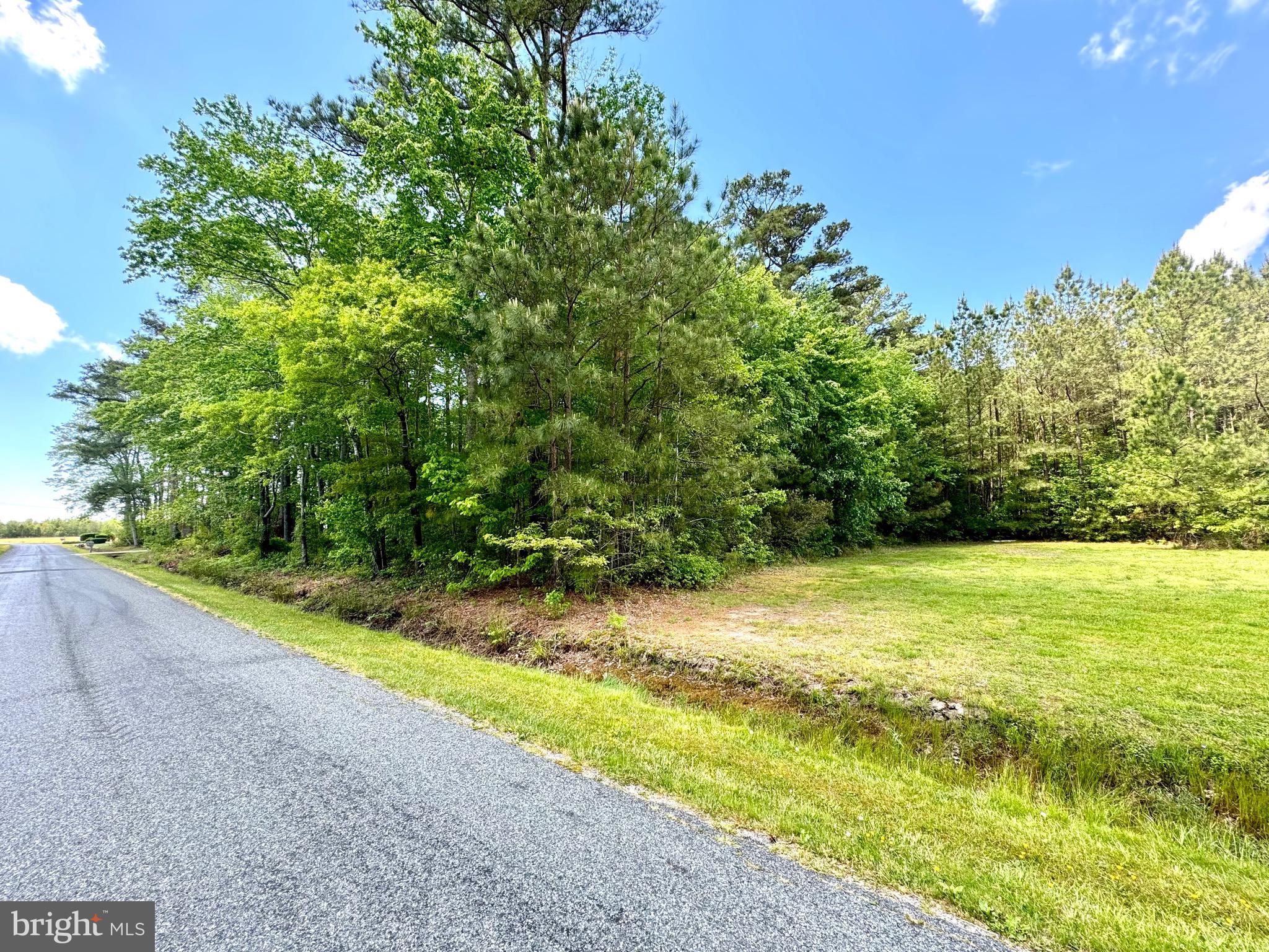 0 Anderson Road Princess Anne, MD 21853 - Photo 13 of 18