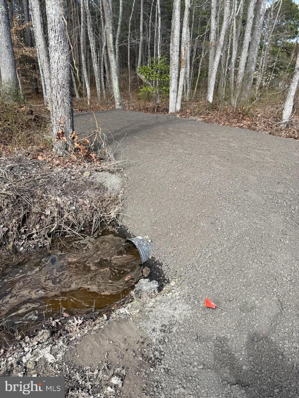 0 Anderson Road Princess Anne, MD 21853 - Photo 2 of 18