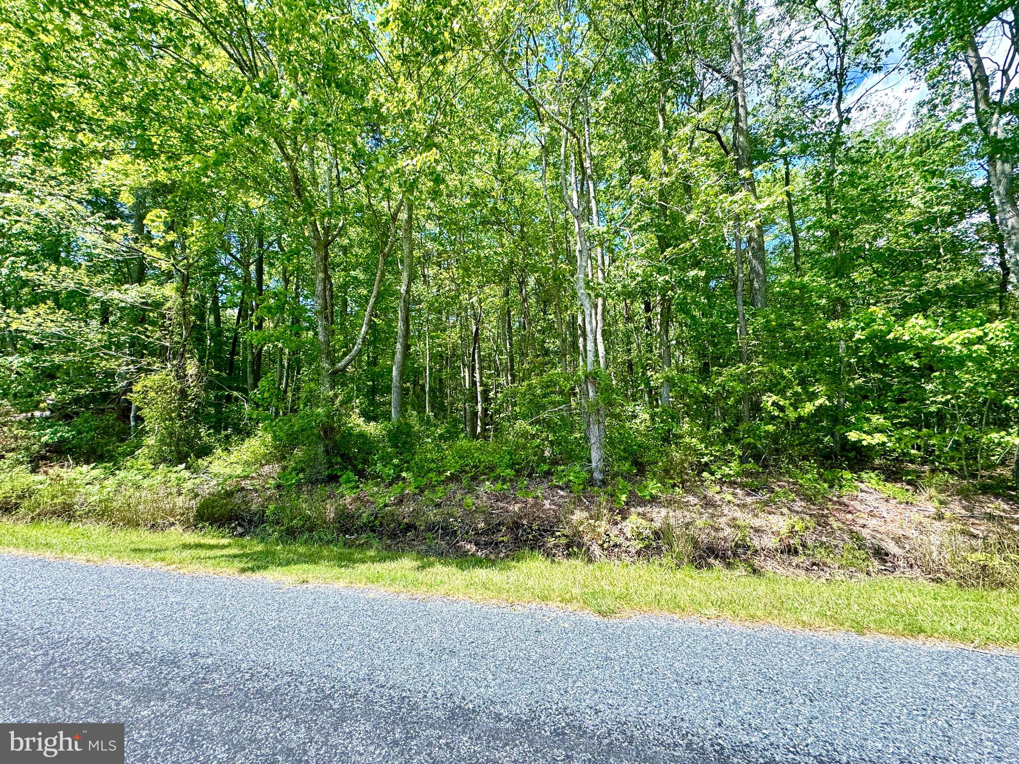 0 Anderson Road Princess Anne, MD 21853 - Photo 3 of 18