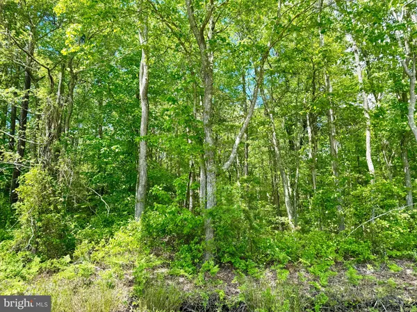 $45,000 | 0 Anderson Road, Princess Anne, MD 21853