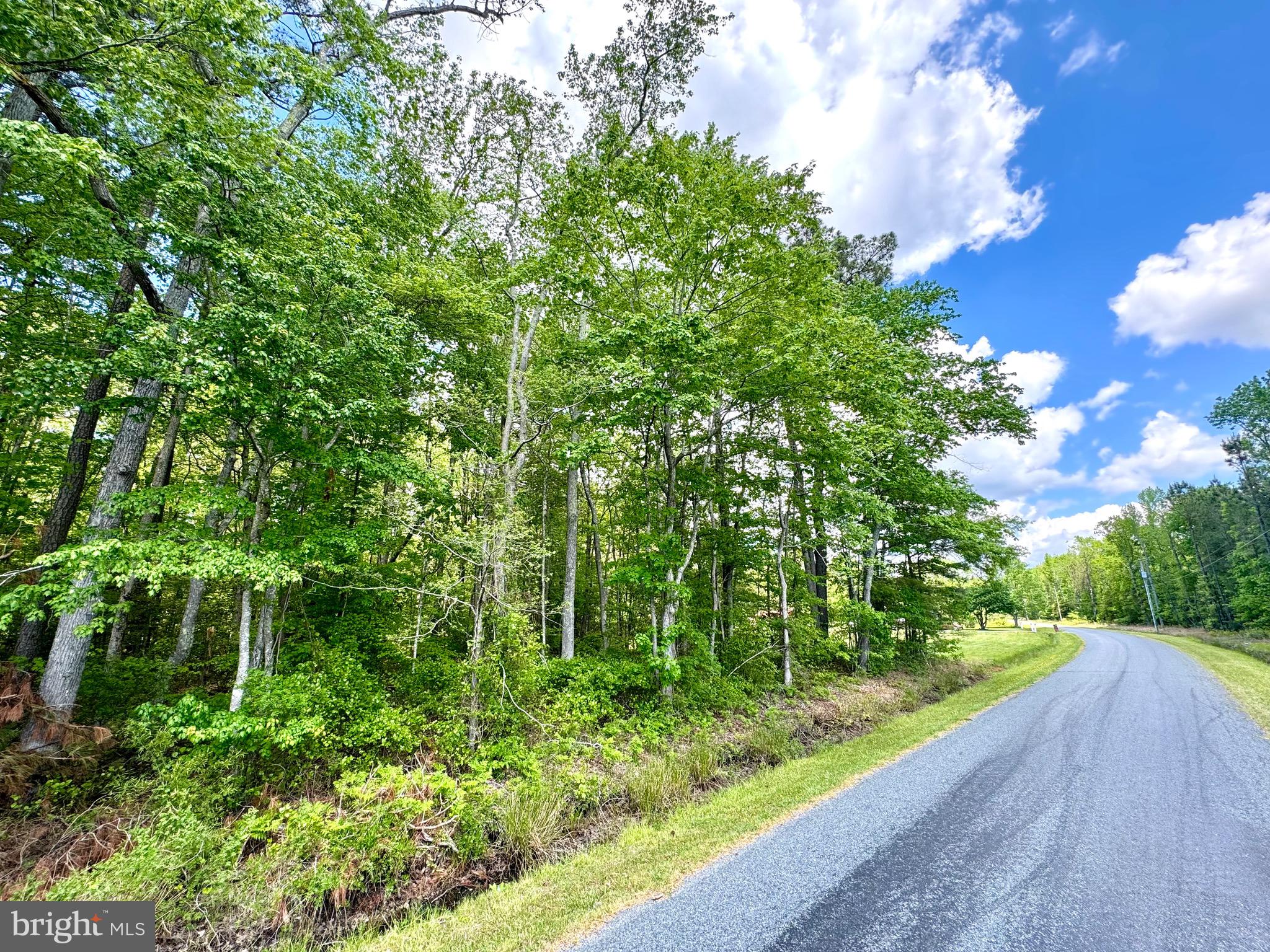 0 Anderson Road Princess Anne, MD 21853 - Photo 8 of 18