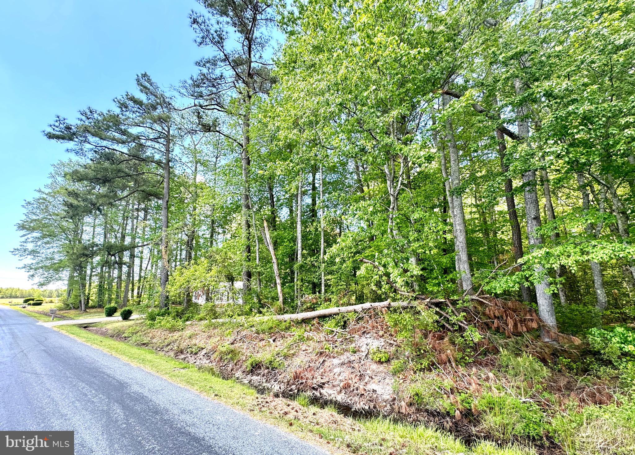 0 Anderson Road Princess Anne, MD 21853 - Photo 8 of 19