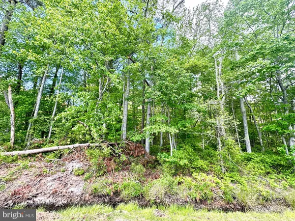 $45,000 | 0 Anderson Road, Princess Anne, MD 21853