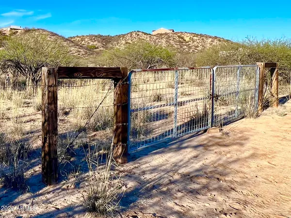 a view of a yard covered with snow on the road