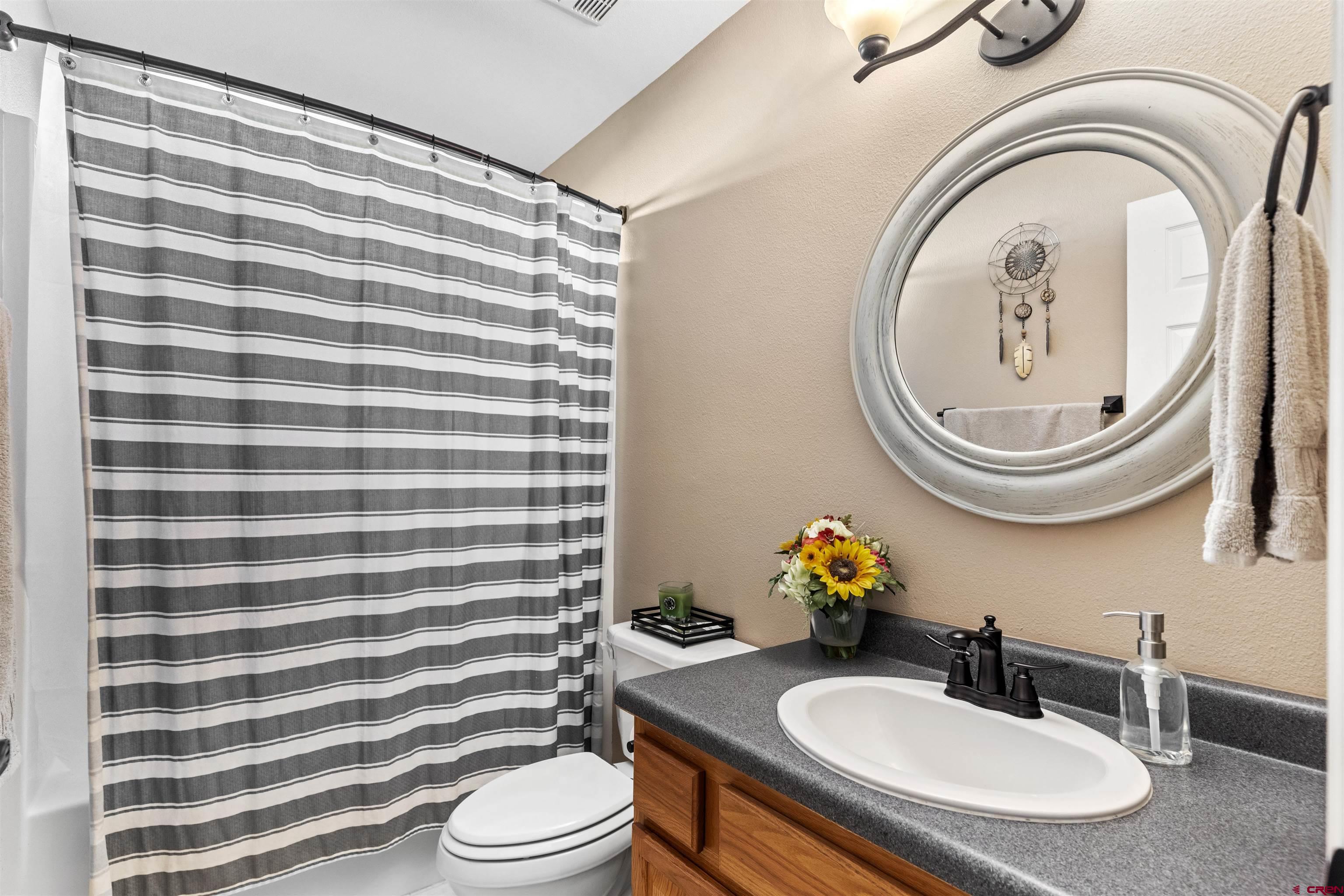 505 20th Street Delta, CO 81416 - Photo 16 of 22 a bathroom with a sink a toilet and a mirror