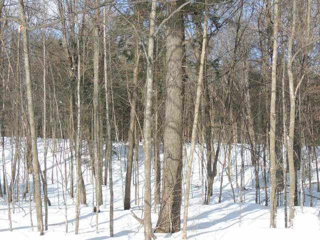 N1466 Cth Road Antigo, WI 54409 - Photo 22 of 29 Gallery Image 22