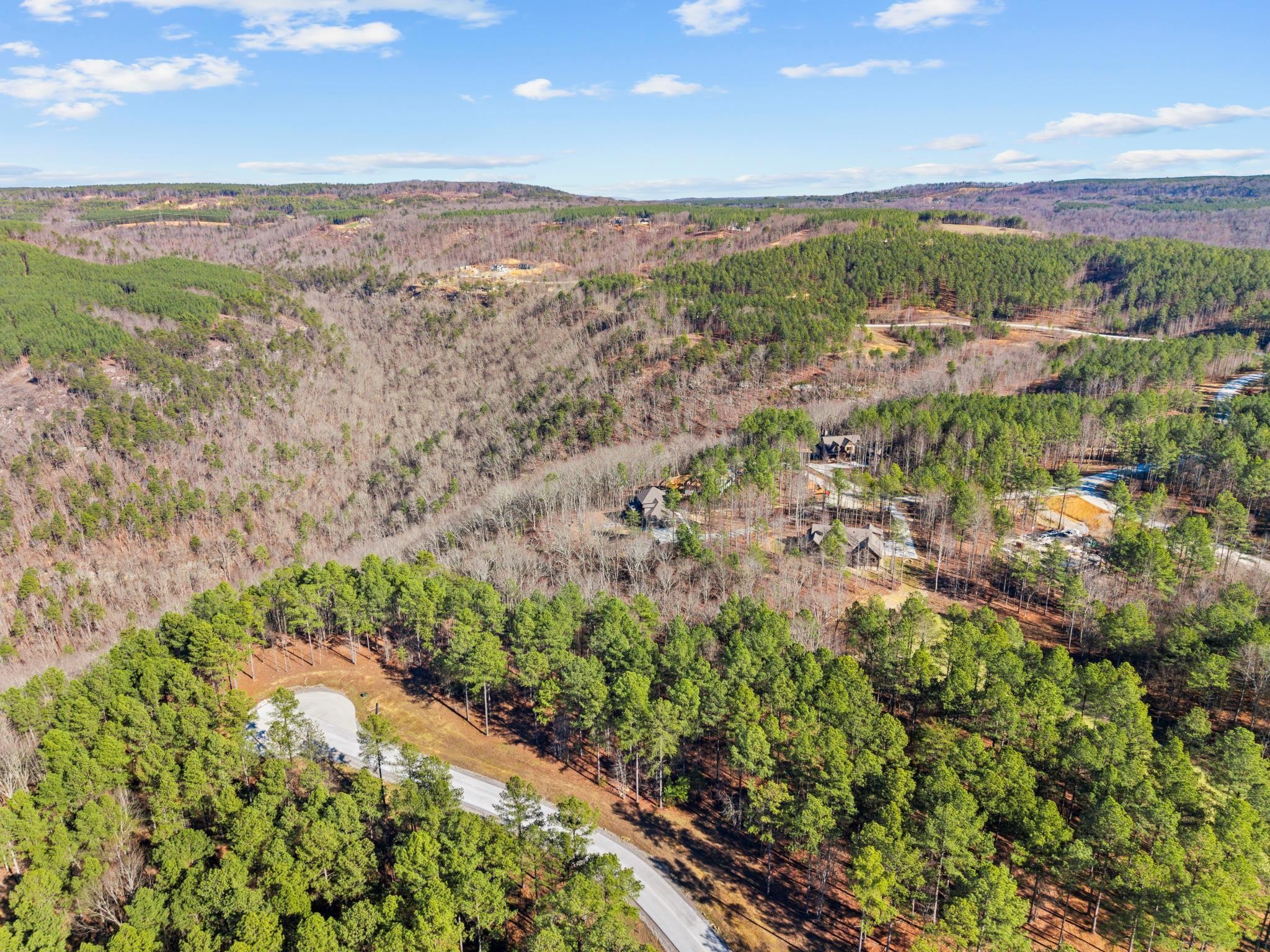 0 Farm Road Guild, TN 37340 - Photo 4 of 11 a view of a city with lush green forest