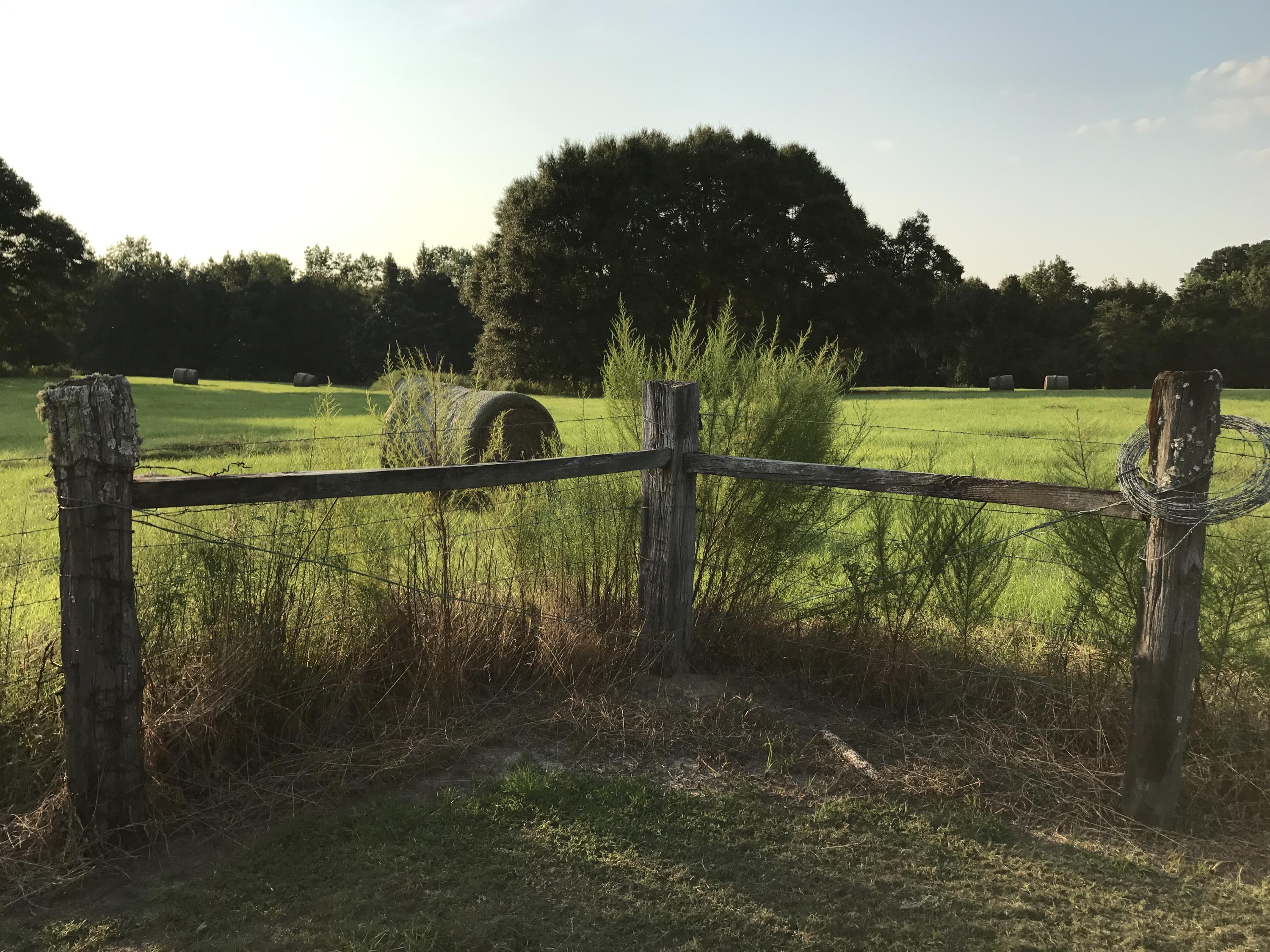 714 Double Bridge Road Laurel Hill, FL 32567 - Photo 8 of 20 IMG_0724