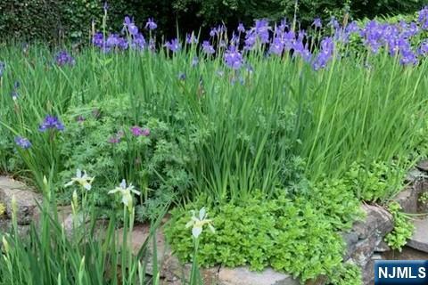 716 Morningside Road Ridgewood, NJ 07450 - Photo 36 of 47