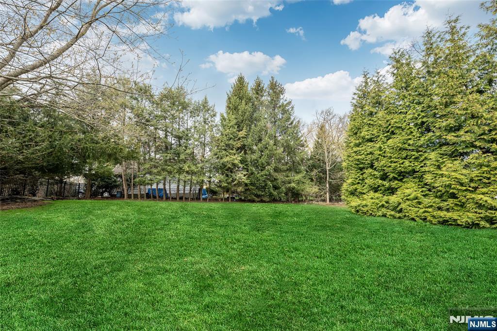 716 Morningside Road Ridgewood, NJ 07450 - Photo 39 of 47