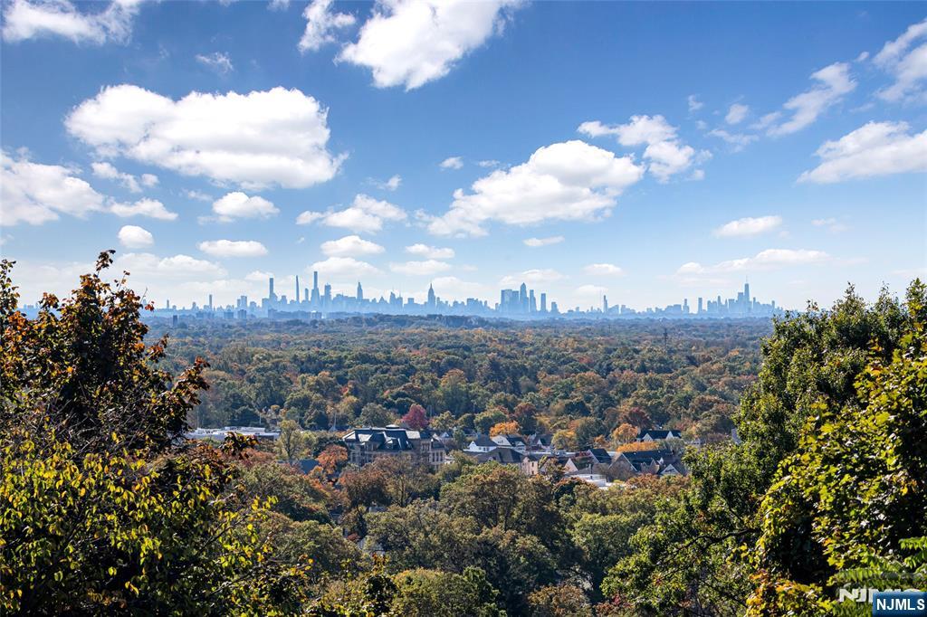 716 Morningside Road Ridgewood, NJ 07450 - Photo 42 of 47