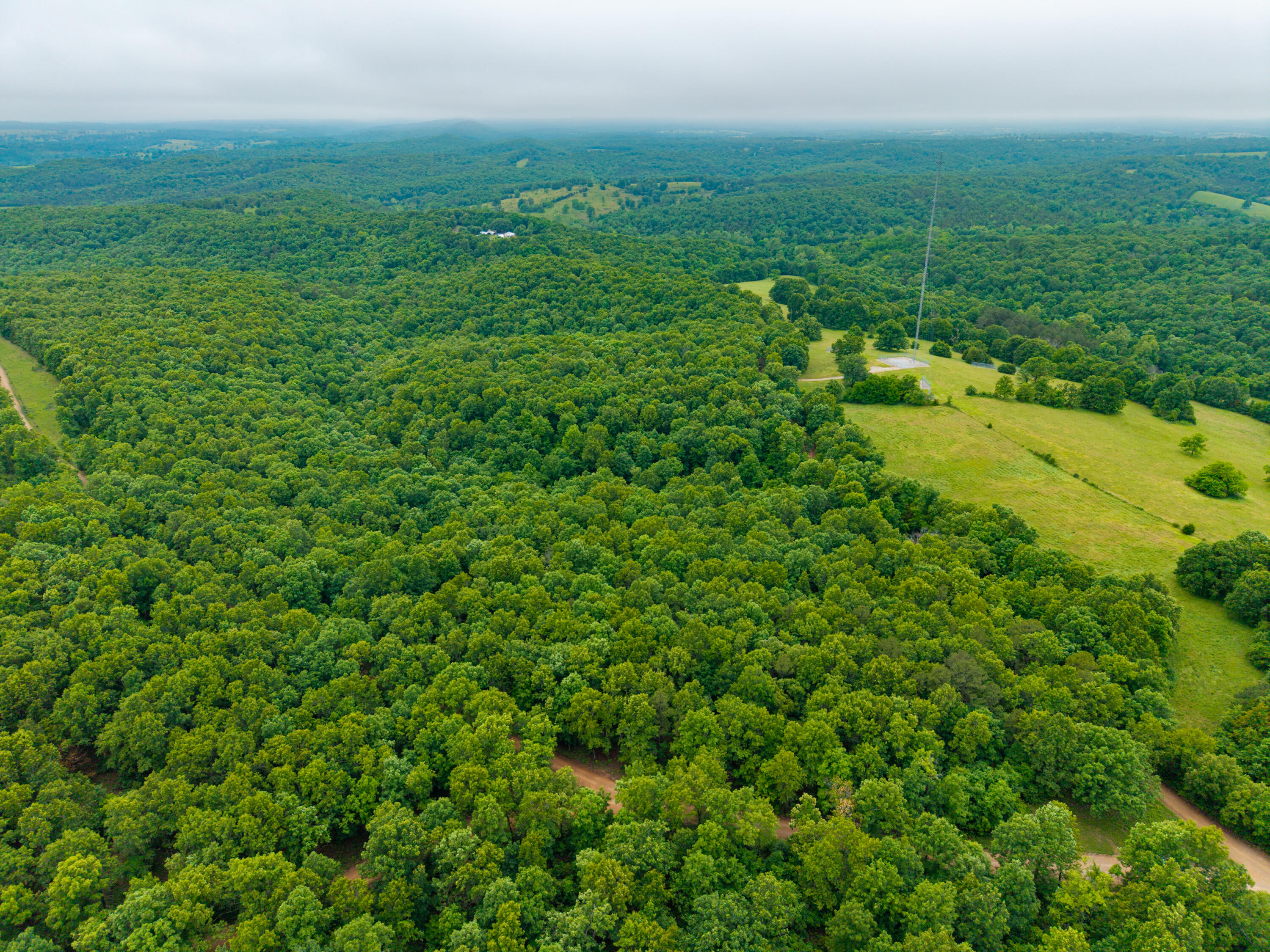 0 Co Road, Unit TRACT 3 Hardenville, MO 65666 - Photo 2 of 14 3 N 16 Hardenville-2