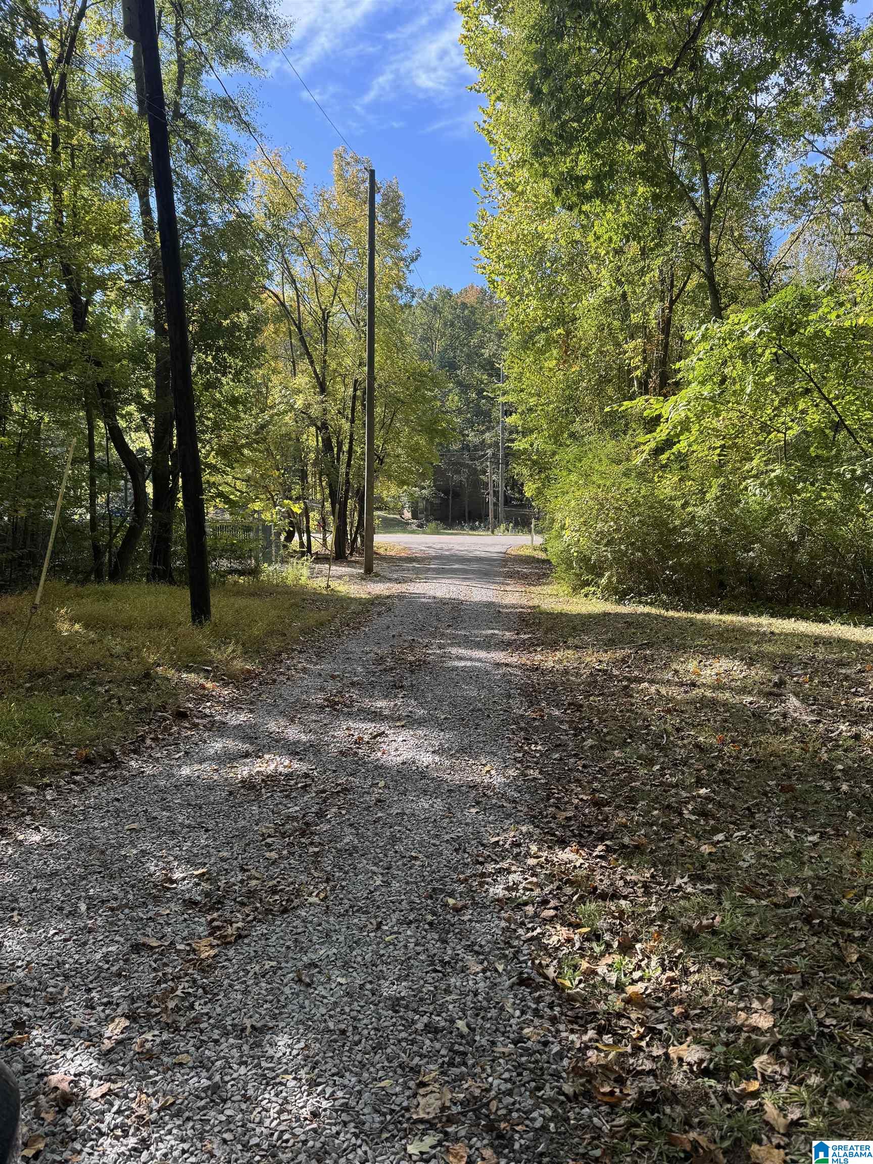 59 Kent Dairy Road Alabaster, AL 35114 - Photo 24 of 24