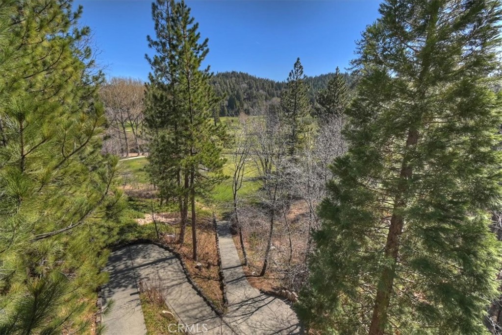 299 Riviera Drive Lake Arrowhead, CA 92352 - Photo 51 of 63