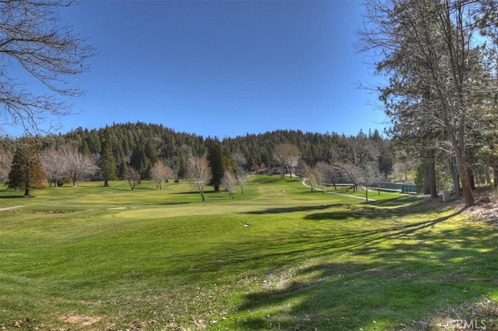 299 Riviera Drive Lake Arrowhead, CA 92352 - Photo 56 of 63