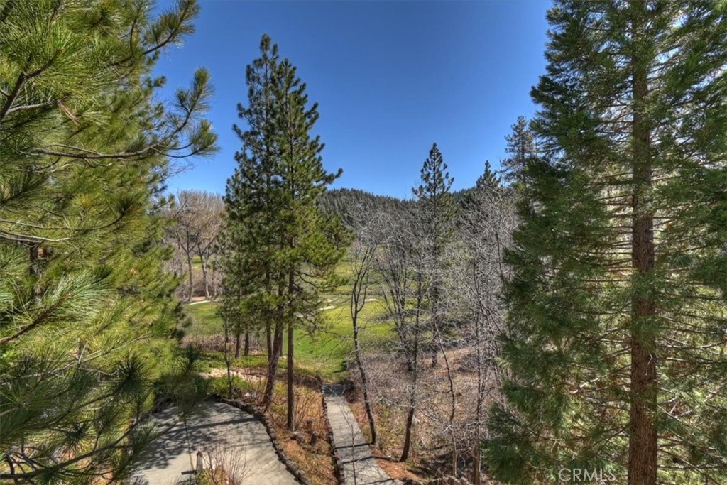 299 Riviera Drive Lake Arrowhead, CA 92352 - Photo 60 of 63