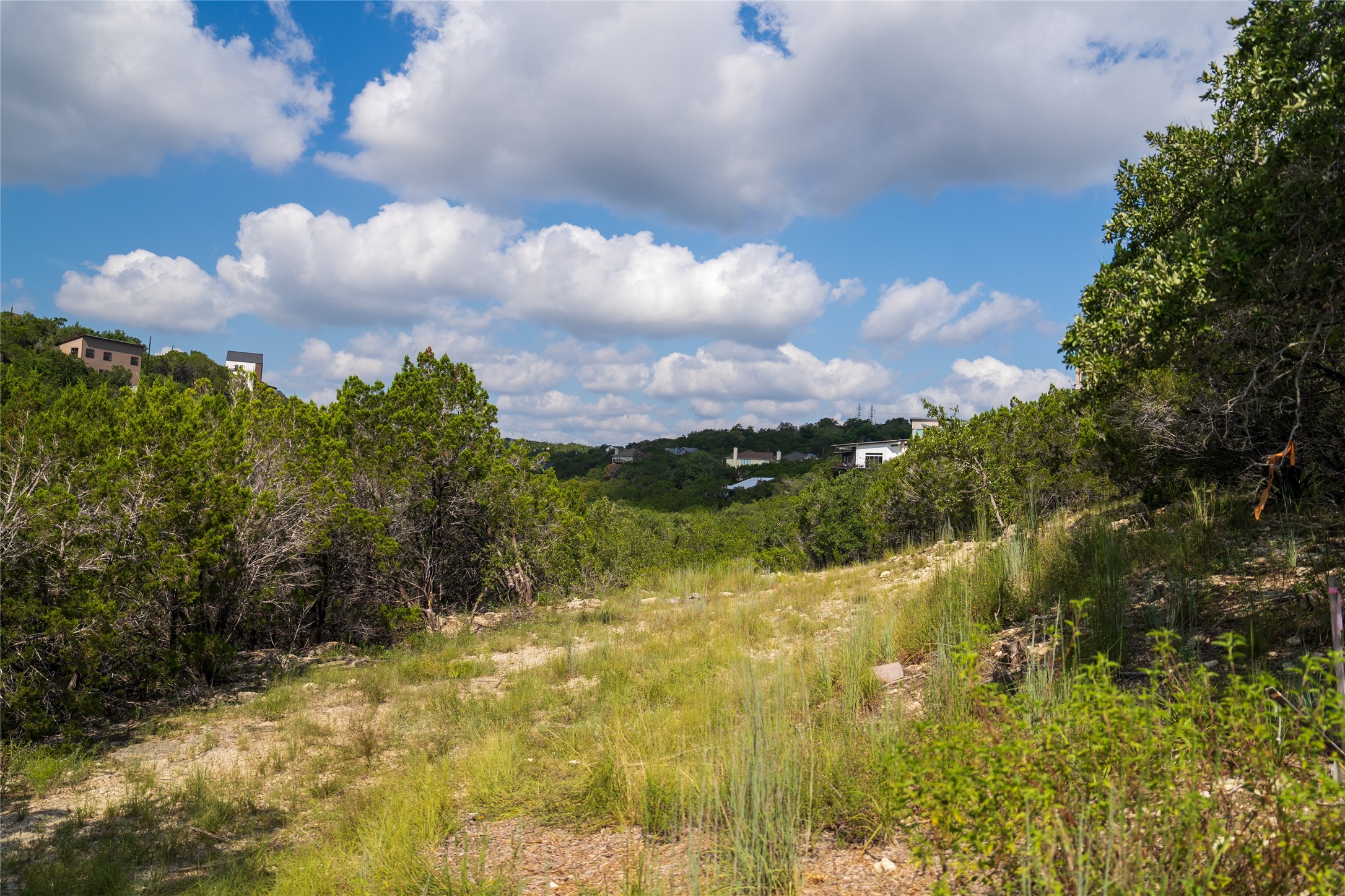 0 Geronimo Trail Austin, TX 78734 - Photo 4 of 8