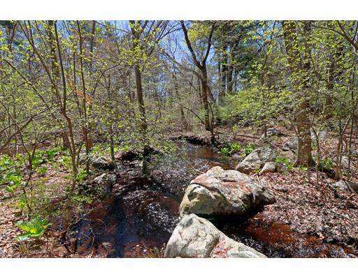 7 Upson Road Wellesley, MA 02482 - Photo 17 of 18 a view of outdoor space and yard