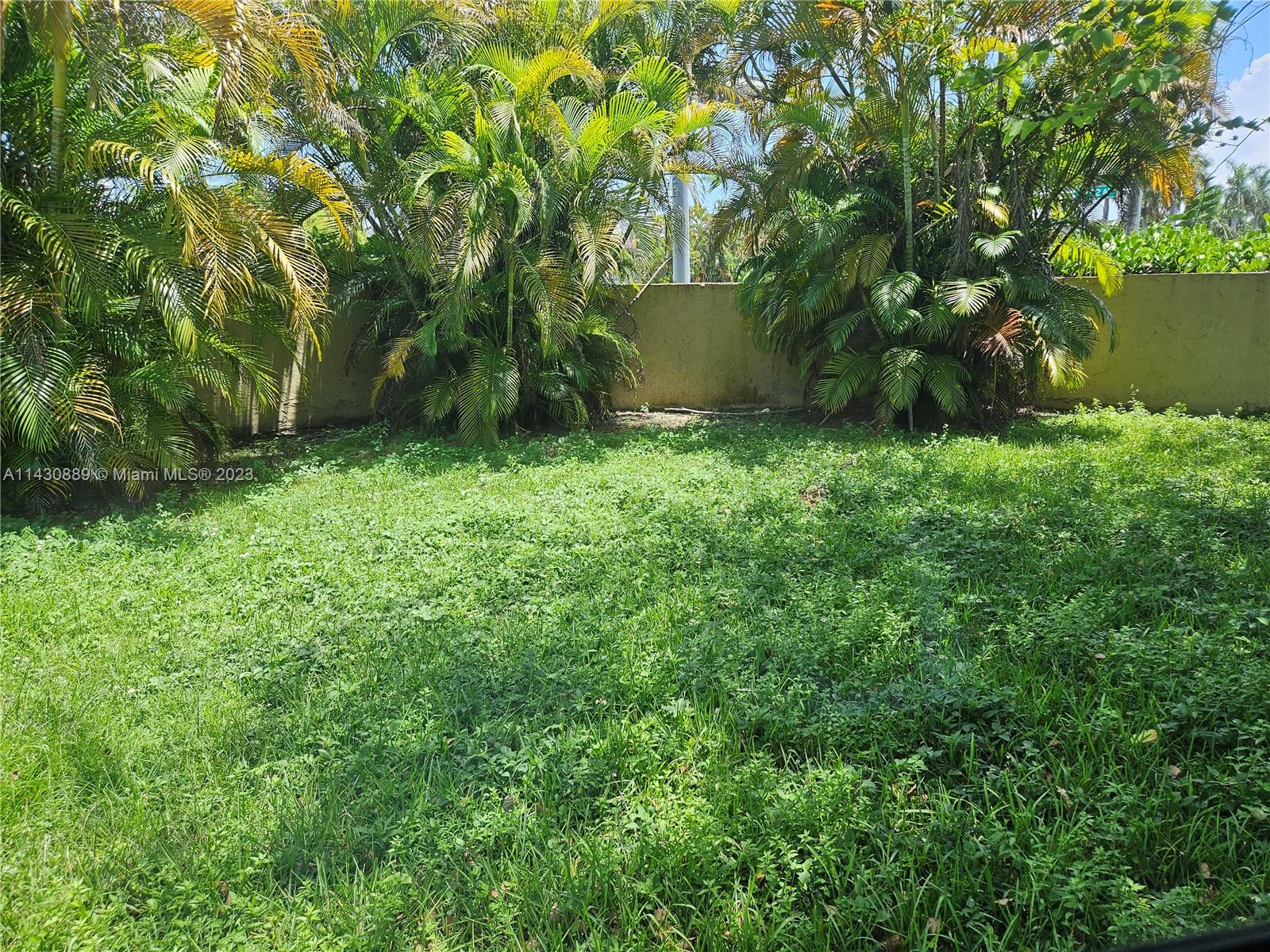 9194 Southwest 132nd Lane, Unit 1 Miami, FL 33176 - Photo 6 of 11 a view of a garden