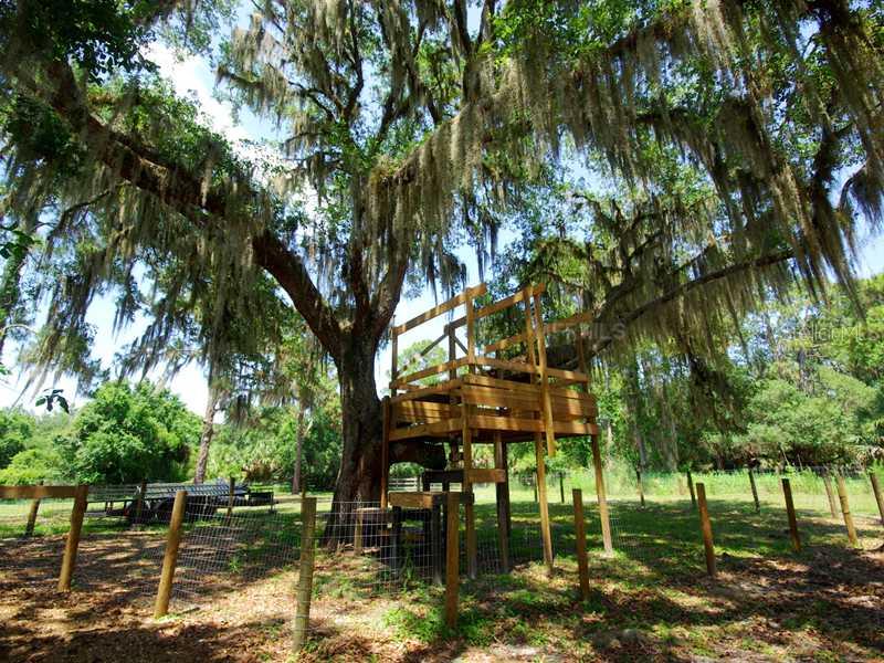 5017 Vanderipe Road Sarasota, FL 34241 - Photo 21 of 25 Other - Great tree house included!
