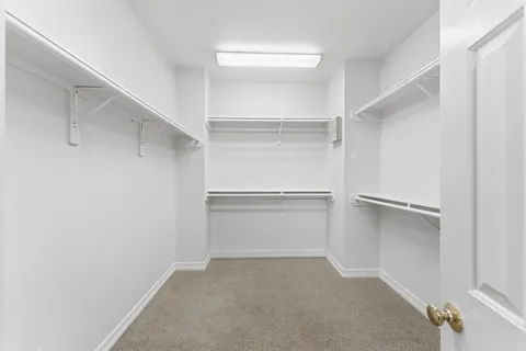 $3,200 | 827 Rosine Street, Houston, TX 77019