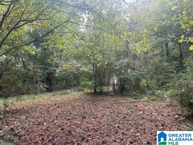 5860 Walnut Grove Road Birmingham, AL 35215 - Photo 26 of 38