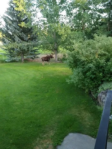 $749,999 | 15817 South Whitehouse Lane, Cheney, WA 99004