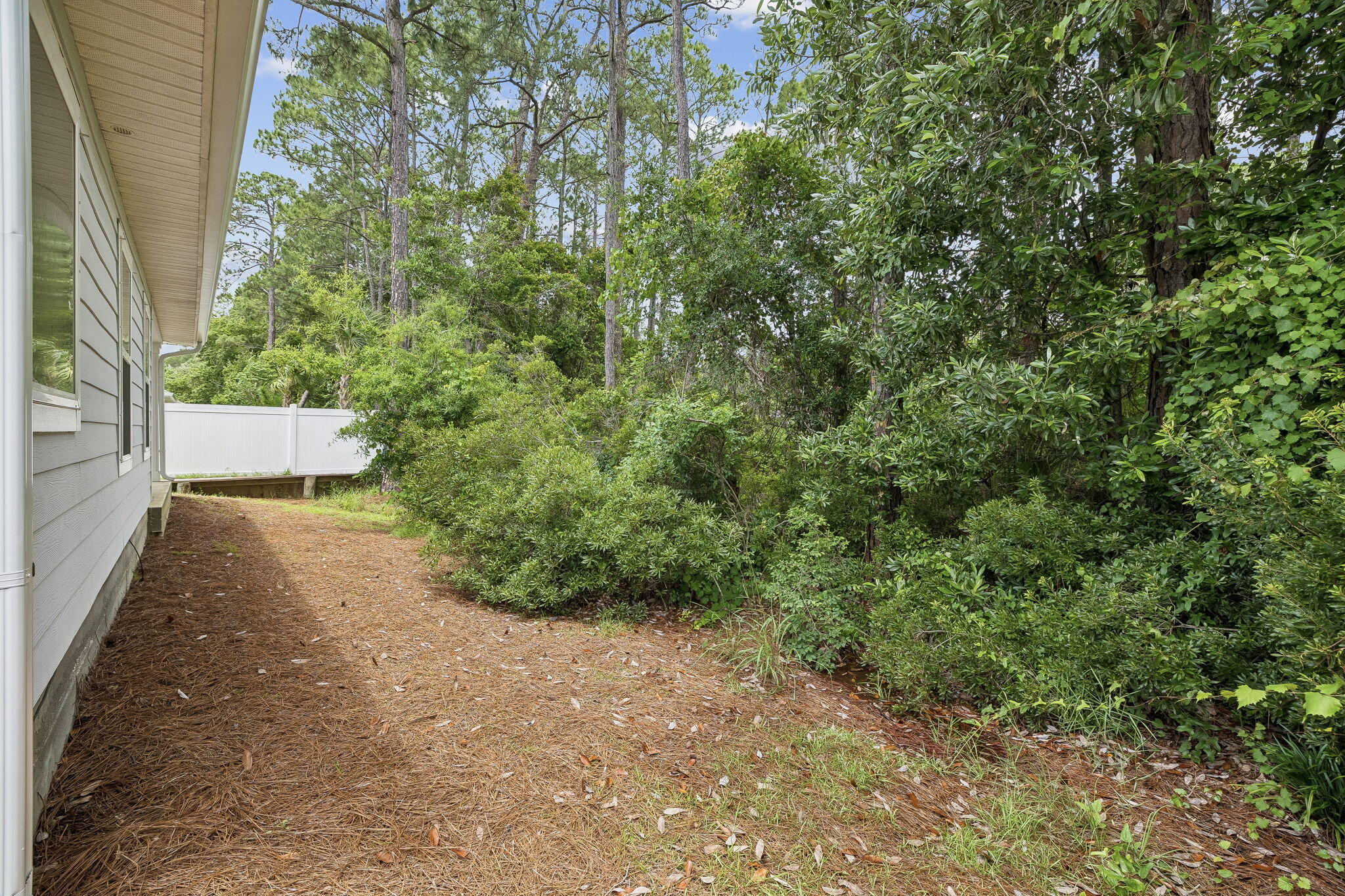 151 Southern Pnes Road, Unit LOT 10 Santa Rosa Beach, FL 32459 - Photo 27 of 35 Side yard