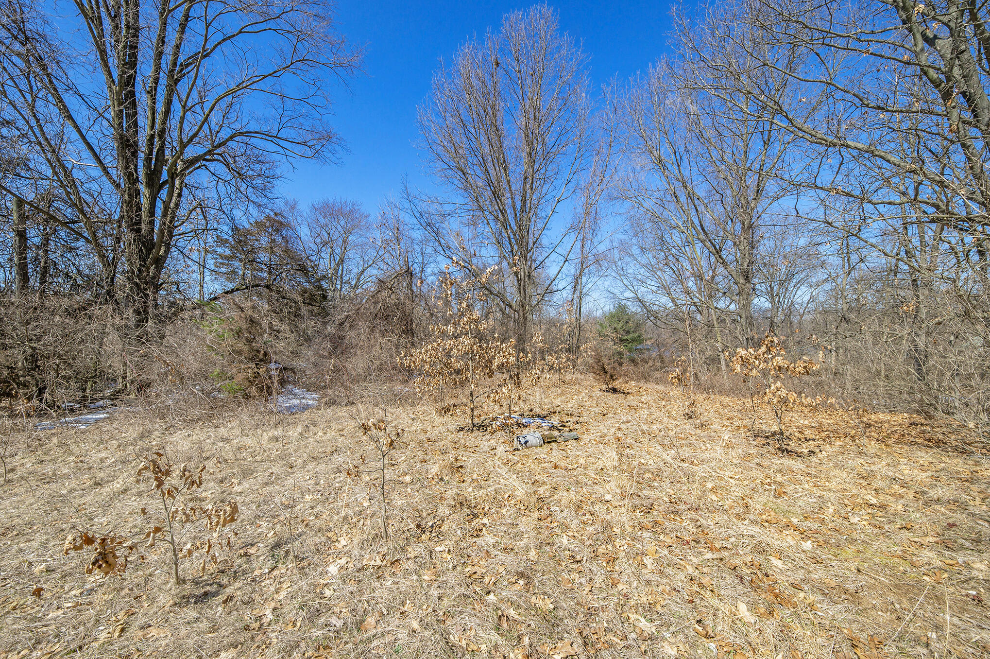17740 South River Road Three Rivers, MI 49093 - Photo 11 of 16 Converted_11