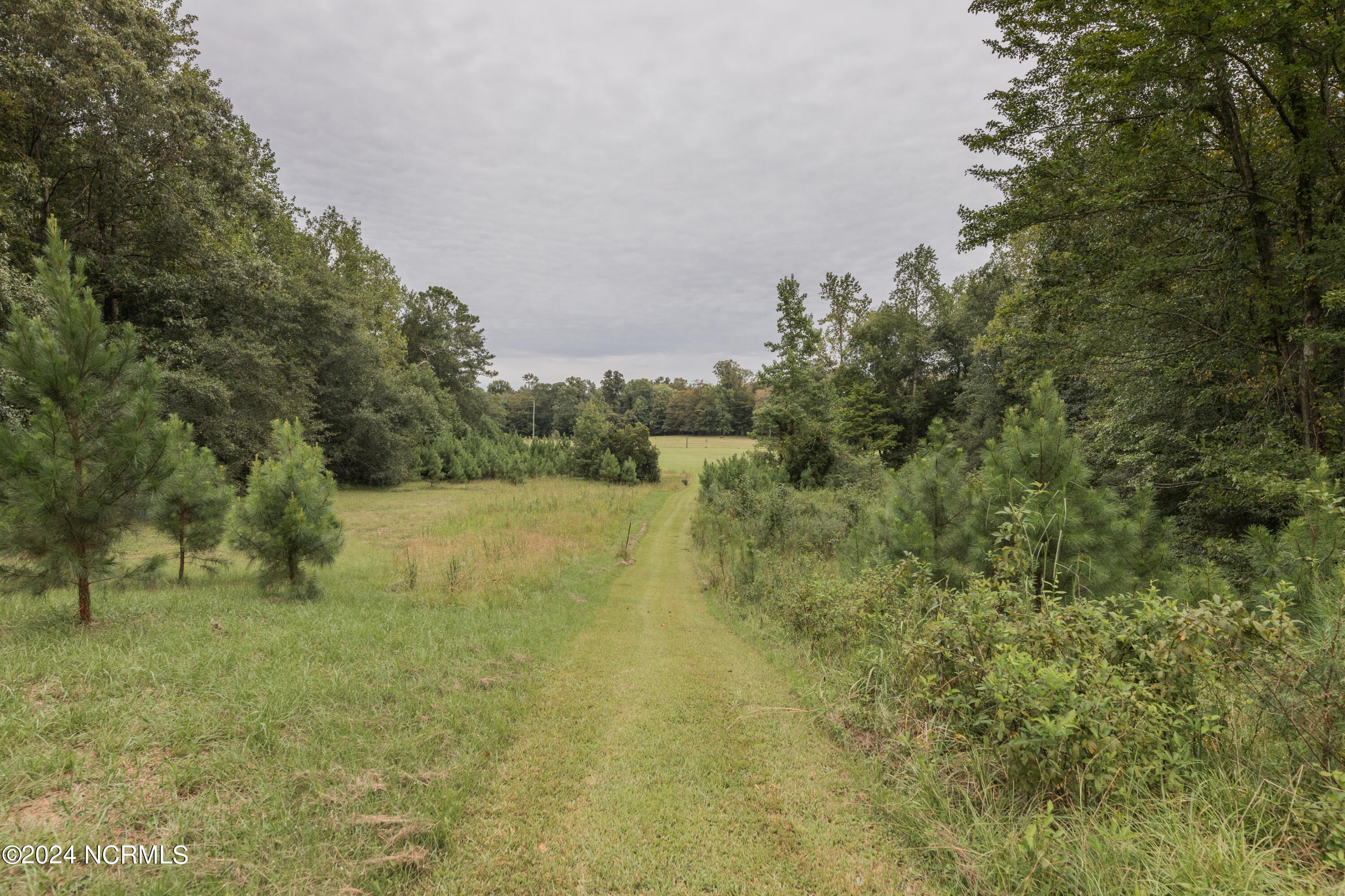 254 Jenkins Road Jacksonville, NC 28540 - Photo 25 of 38 _MG_5603